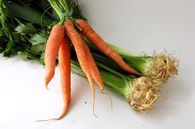 Benefits of Carrot and Celery Juice