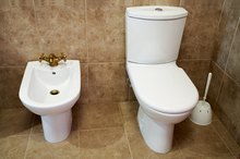 Bacteria Found in Toilet Bowls