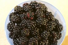 黑莓的碳水化合物含量是多少?
