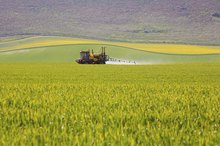 The Effects of Pesticides in Food