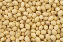 Are Soybeans Protein or Carbohydrate?