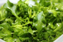 How to Cook Watercress