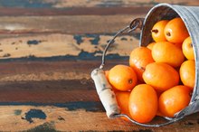 Hog Plum Health Benefits