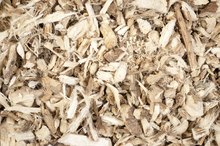 What Are the Benefits of Marshmallow Root & the Slippery Elm Herb?