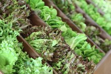 How to Change Your PH Balance From Acidic to Alkaline