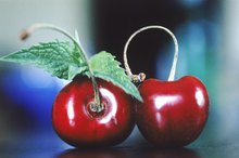 Cherries and Weight Loss