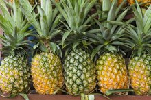 Pineapple for Gout