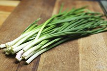 Are Green Onions Healthy?