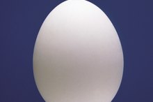 Eggs & Abdominal Fat