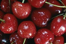 Signs & Symptoms of Allergy to Cherries