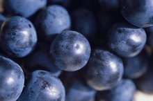 Antioxidants in Concord Vs. Red Grapes