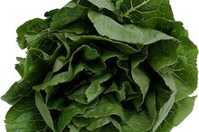 The Difference in Nutrients Between Collard Greens and Spinach