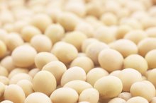 Chick Peas Nutrition Information