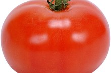 A Tomato Sauce Allergy in Kids