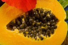 Benefits of Papaya Extract