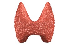 What Are the Causes of Fluctuating Thyroid Levels?