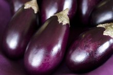 Allergy to Eggplant
