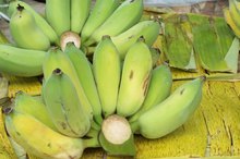 Nutrition Information for Baby Bananas