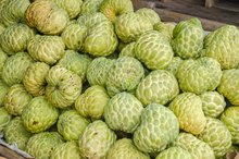 Noni Benefits for People With Diabetes