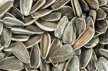 Bodybuilding and Sunflower Seeds