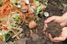 Pros & Cons of Composting