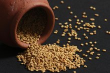 What Is the Difference Between Fenugreek Extract and Fenugreek Seed?