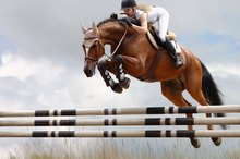 The Best Abdominal Exercises for Horse Riders