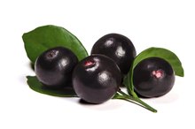 What are the Benefits of Taking Acai Berry Supplements?