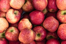 新鲜苹果的酶与皮肤