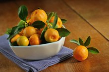 你能吃Calamondin吗?