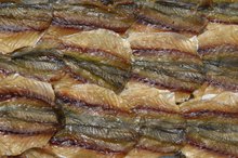 凤尾鱼和沙丁鱼的鱼油含量是多少？