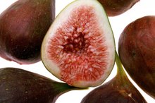Kinds Of Figs