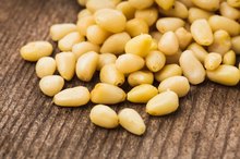 Adverse Gastric Reactions to Consumption of Pine Nuts