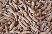 The Benefits of Ginseng on Acne
