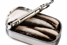 Can Sardines Raise Cholesterol?