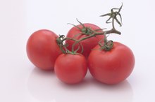 西红柿和关节炎