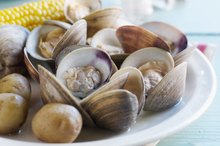 Calories in Steamed Clams