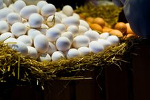 如何通过吃蛋清来减肥