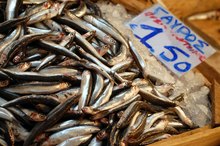 Anchovy Allergy Symptoms