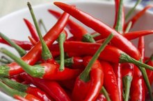 Can Jalapeno Peppers Cause Painful Urination?