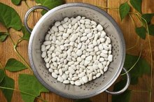 Nutrition of White Northern Beans