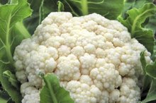 The Health Benefits of Cauliflower