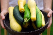 The Nutritional Value of Zucchini