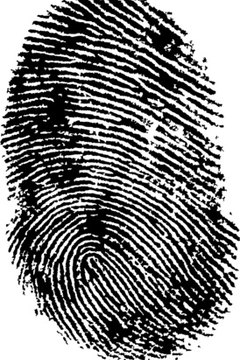 Vendors must obtain specific information from the consumer.