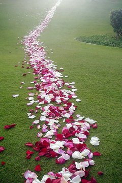 Flowers are considered good luck in Hawaii.