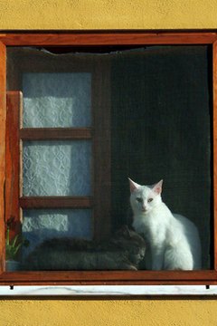 cats in the window image by JoLin from Fotolia.com Cats love to perch in windows.