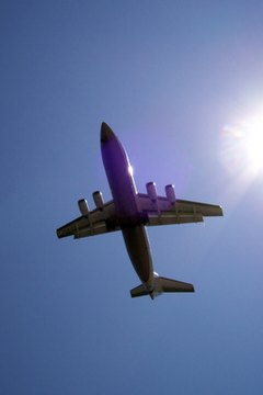 International flight attendants are trained in passport and customs regulations.