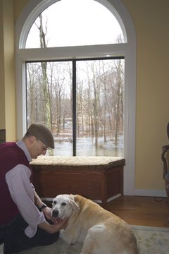 man and his dog in the living room flood in backya image by robert lerich from Fotolia.com Your furbaby can hang out in his special room when company comes.