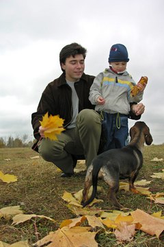 father with son and dog on autumn leaves image by Pavel Losevsky from Fotolia.com All those leaves can't hope to stand up against a bit of distraction and training.