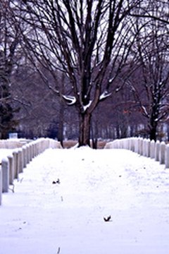 The Secretary of Veterans Affairs supervises the extensive National Cemetery system.